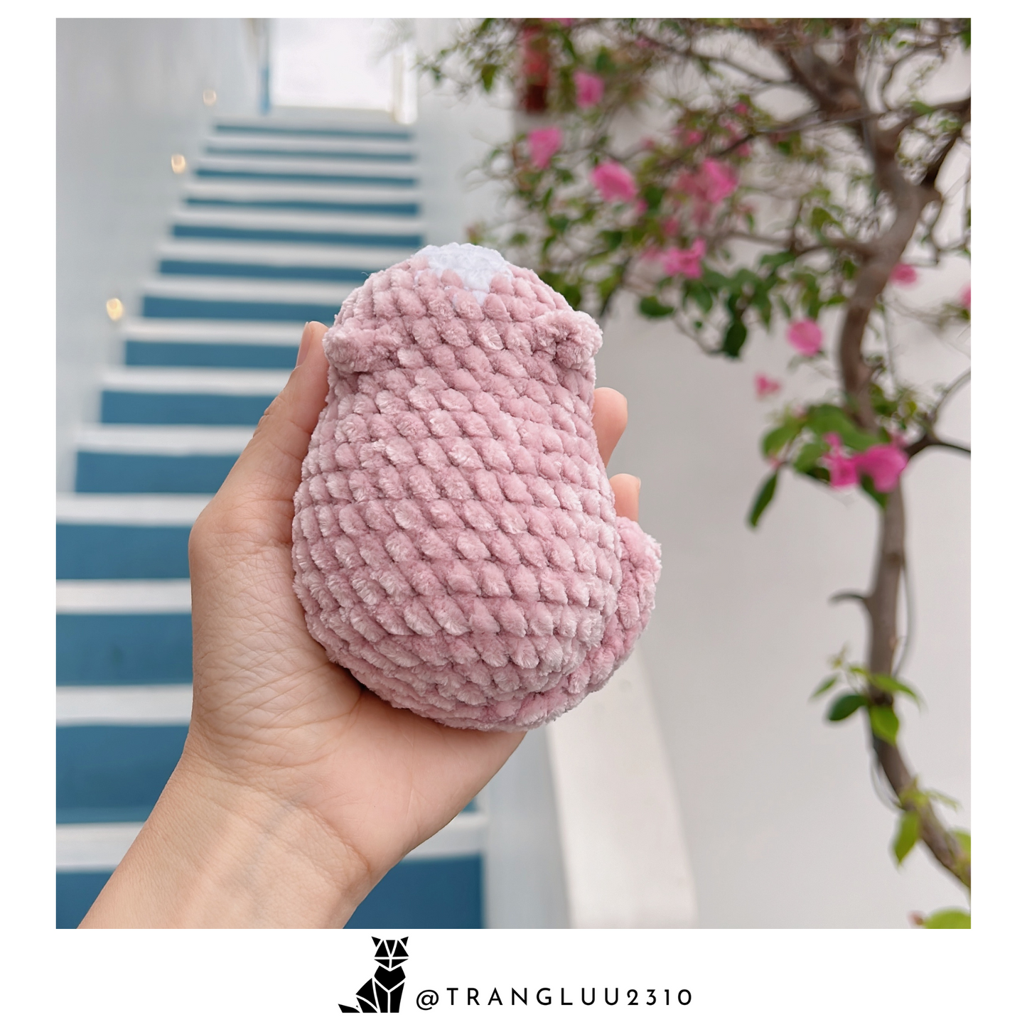 Crochet Pattern NO SEW 4 in 1: Palm Loaf Cat | English PDF pattern